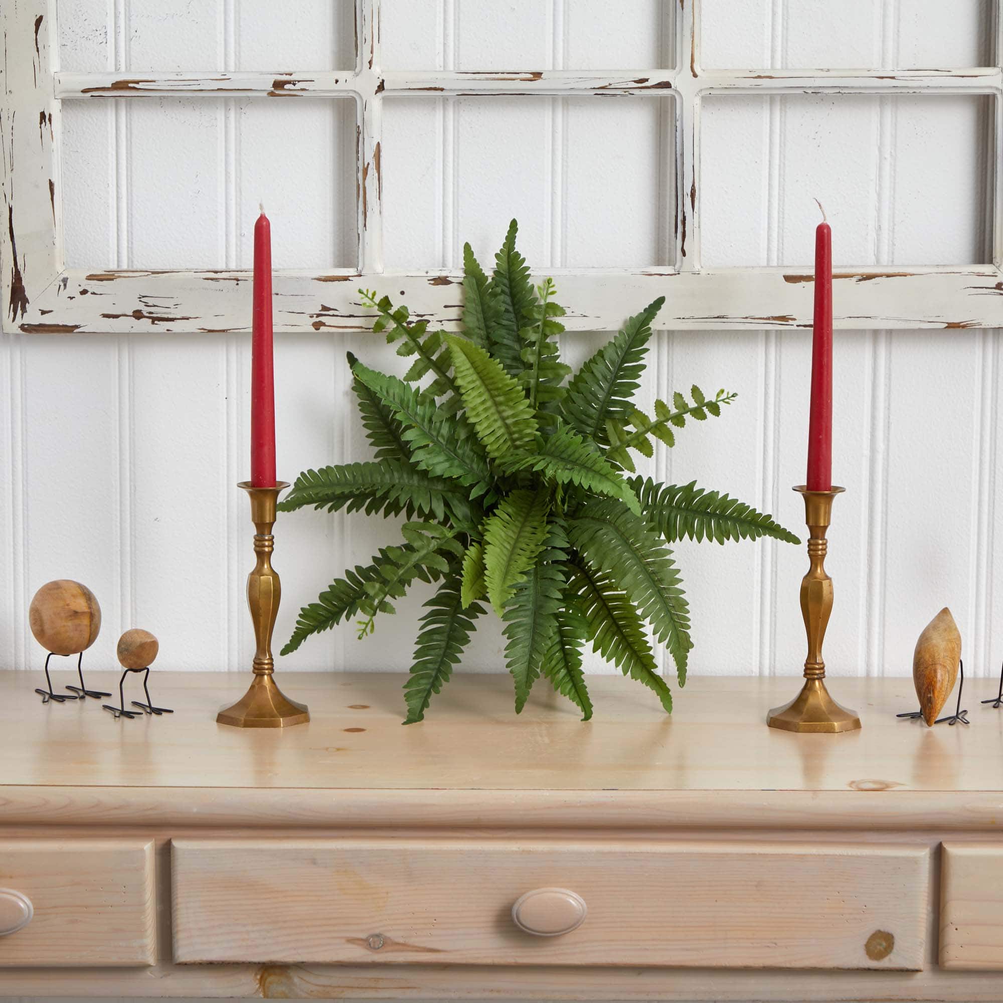 Boston Fern, 6ct.